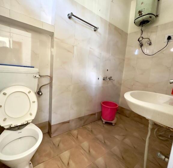 غرفة إقتصادية, Shivling View