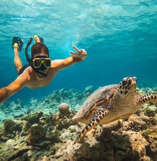 اتاق استاندارد اینتریور, Manta Reserve