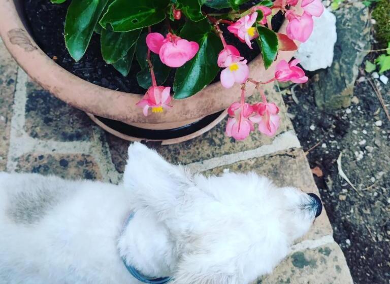 带1个卧室的公寓, Girasole Ad Antico Casale  700