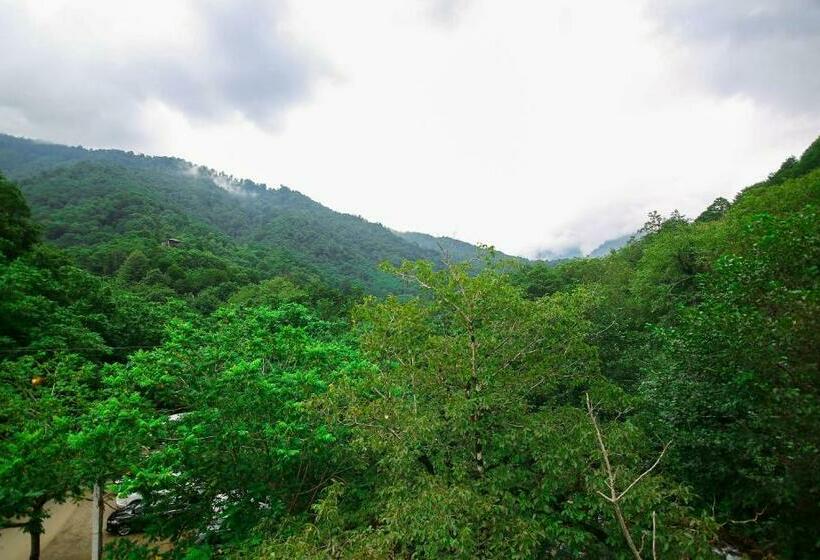 اتاق استاندارد, Park Resort Mtirala National Park