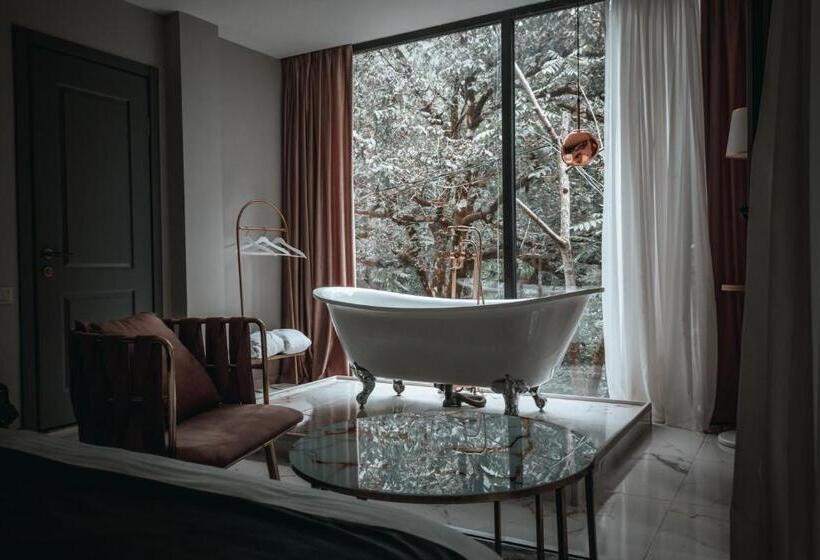 اتاق استاندارد با تخت بزرگ, Park Resort Mtirala National Park