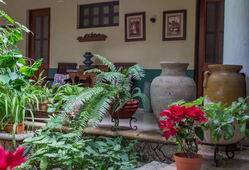 스탠다드 룸, Casa Quetzal