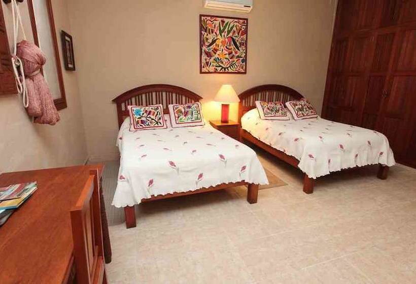 سوییت جونیور, Casa Quetzal