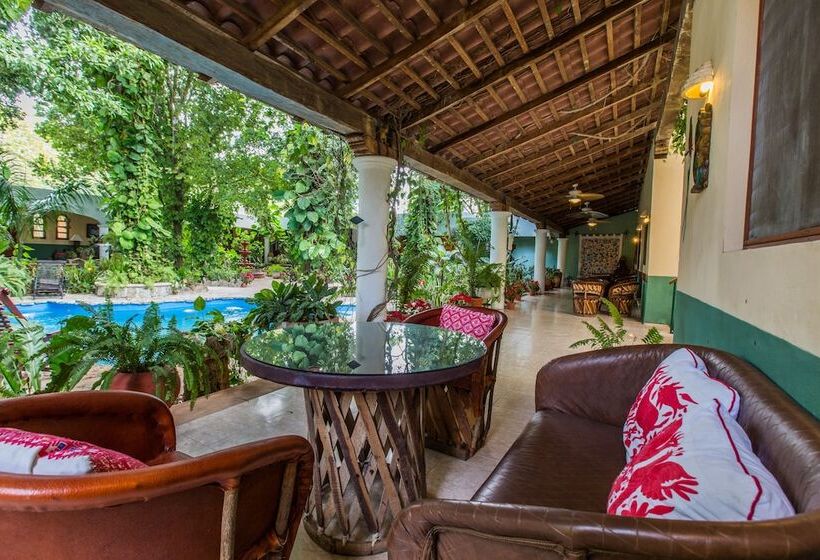 سوییت جونیور, Casa Quetzal