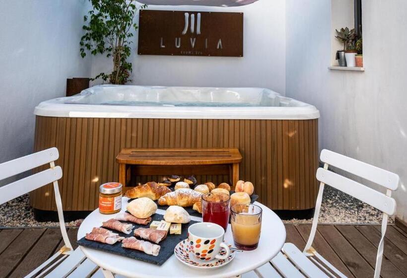 Номер Стандарт Кровать Кинг Адаптированный для Инвалидов, Luvias Spa
