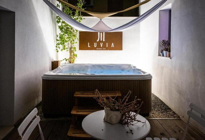 غرفة قياسية سرير كينج لذوى الإحتياجات الخاصة, Luvias Spa
