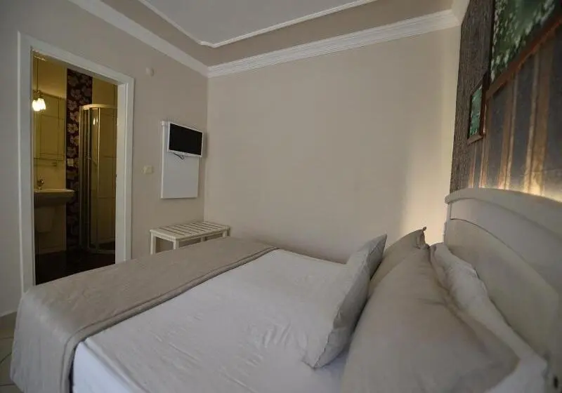 StandaardKamer, Nicholas Park