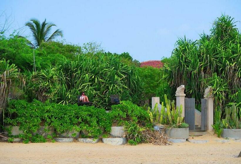 Вилла с 1 спальней и бассейном, Nikara Luxury Beach House