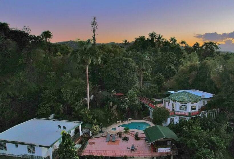 بنگله خانوادگی, Pancho S Paradise Rainforest Guesthouse With Pool, Gazebo And View