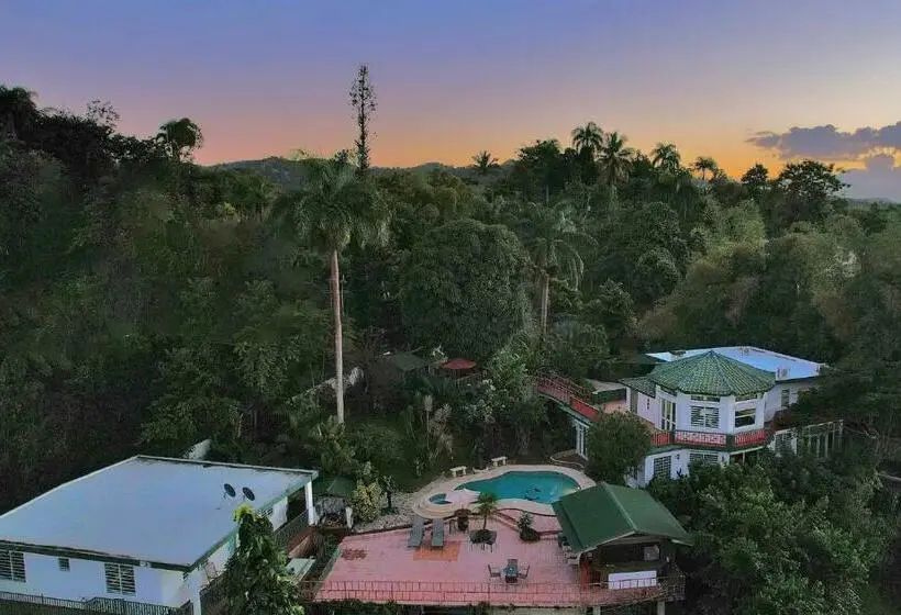 بنگله خانوادگی, Pancho S Paradise   Rainforest Guesthouse With Pool, Gazebo And View