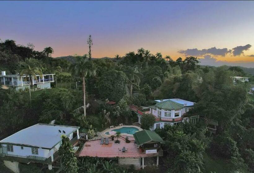 بنگله خانوادگی, Pancho S Paradise   Rainforest Guesthouse With Pool, Gazebo And View