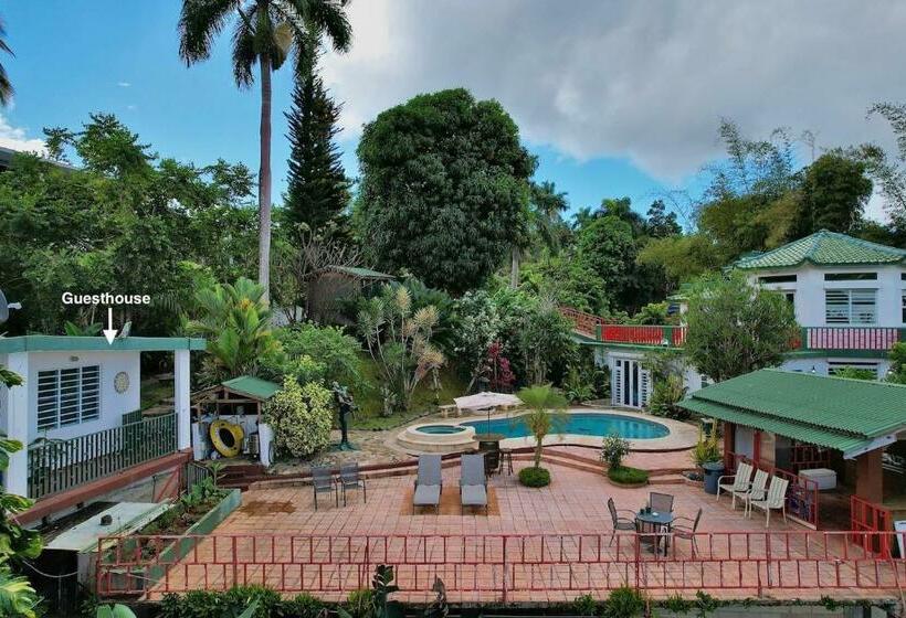 بنگله خانوادگی, Pancho S Paradise Rainforest Guesthouse With Pool, Gazebo And View