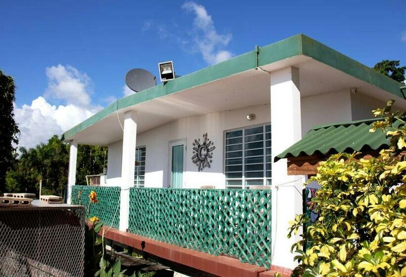 بنگله خانوادگی, Pancho S Paradise Rainforest Guesthouse With Pool, Gazebo And View