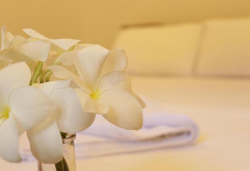 اتاق استاندارد, Paradisola