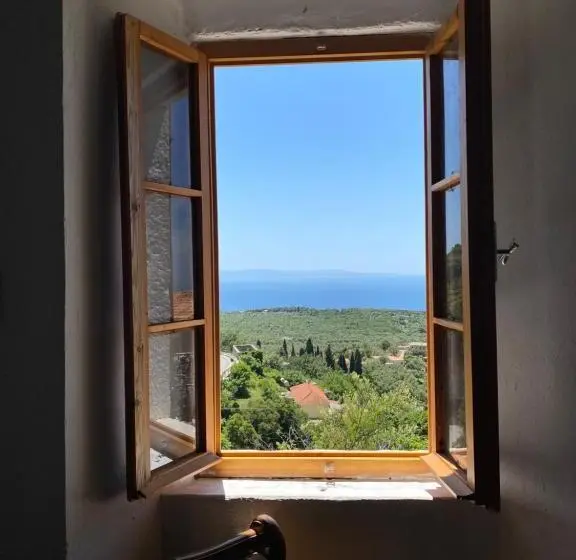 اتاق لوکس با چشم‌انداز دریا, Shotgun Hostel & Guesthouse