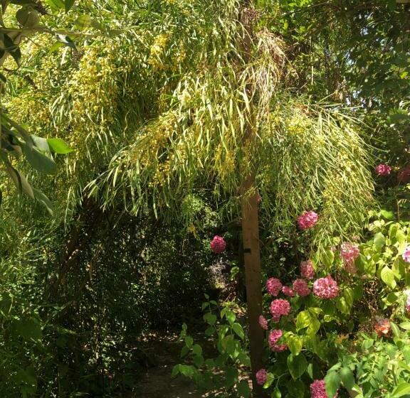 Дом 1 Спальня, L Atypique