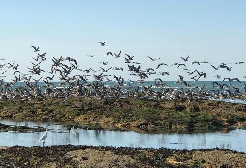 Дом 1 Спальня, L Atypique