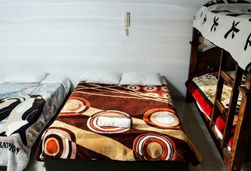 패밀리 룸, El Palacio Del Rey