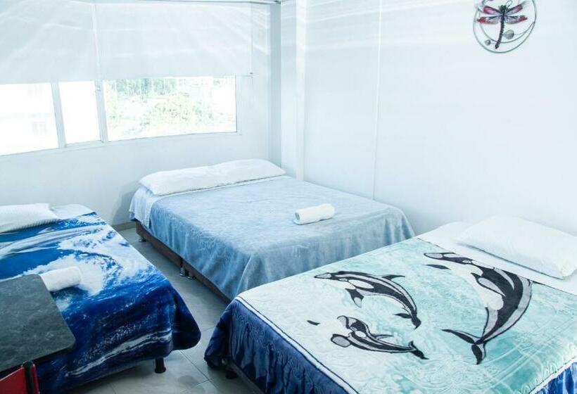 베이직 3인 룸, El Palacio Del Rey