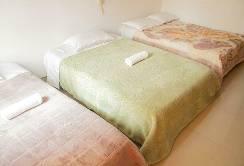 베이직 3인 룸, El Palacio Del Rey