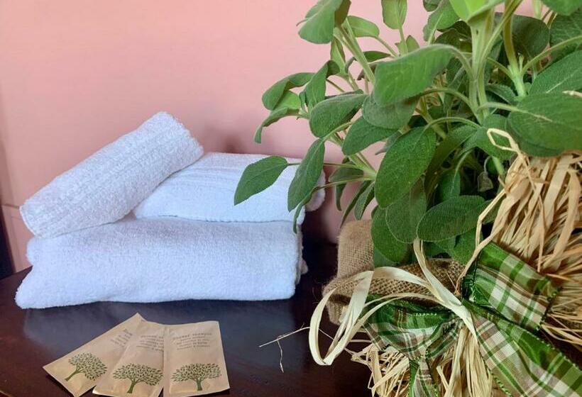 スタンダードトリプルルーム, Sibolla Holidays