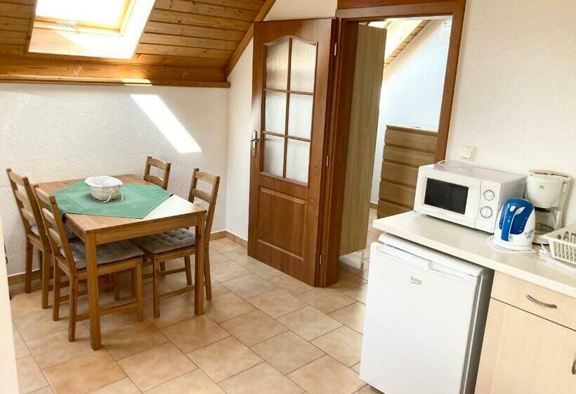 스탠다드 스튜디오, Pension Hofberg