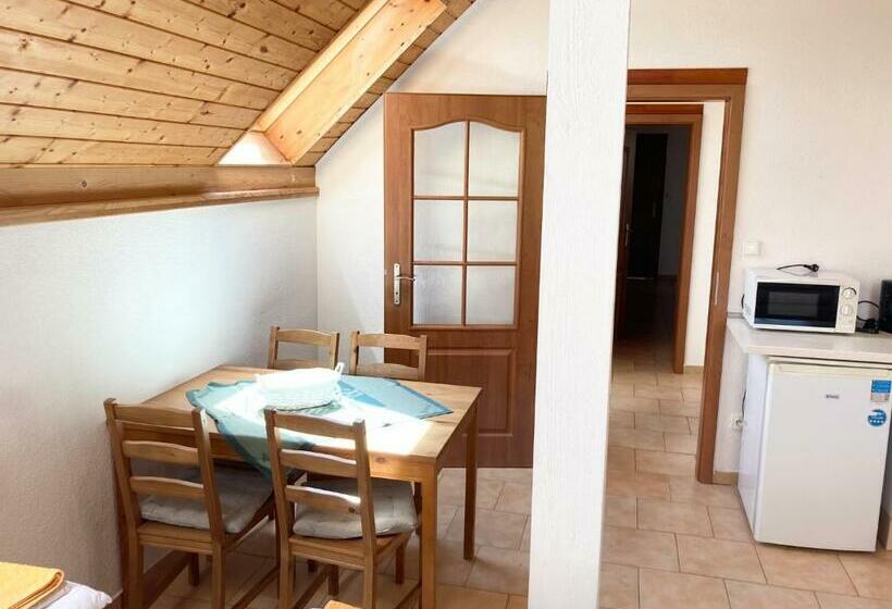 스탠다드 스튜디오, Pension Hofberg