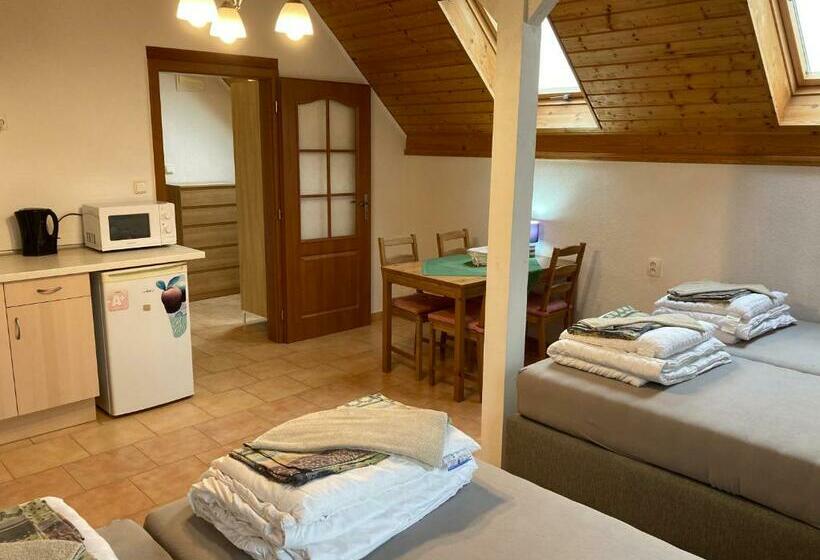 스탠다드 스튜디오, Pension Hofberg