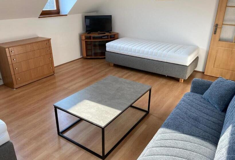 Апартаменты Deluxe 1 Спальня, Pension Hofberg