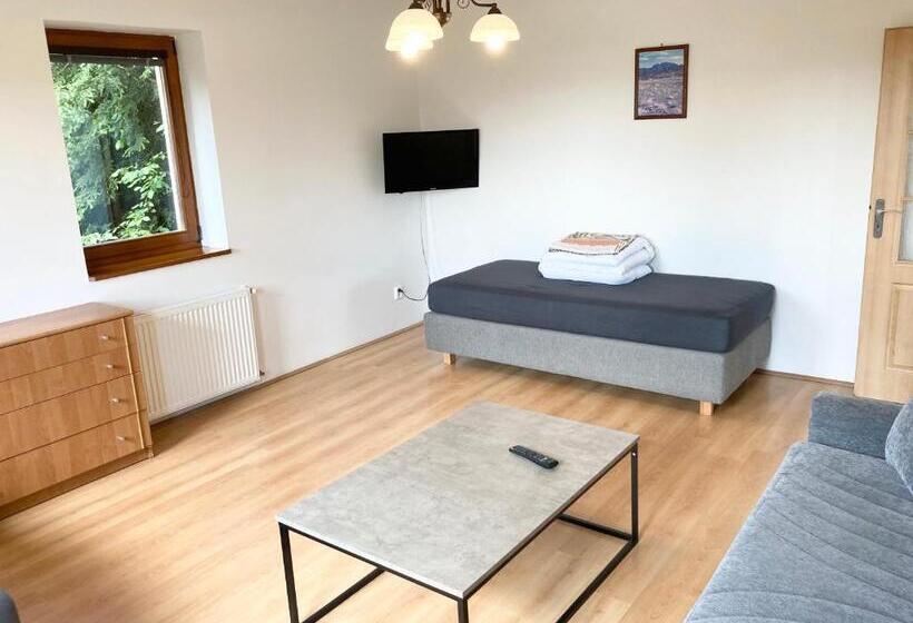 침실 1개 디럭스 아파트, Pension Hofberg