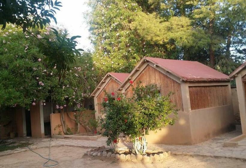 ویلای استاندارد با چشمانداز باغ, Auberge Souktana