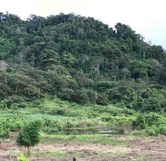 标准间, Quartos Dossel   Sítio Belo Monte