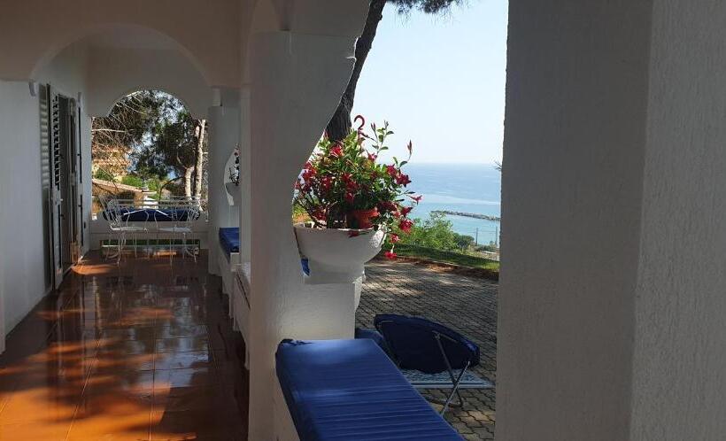 سوئیت با تخت بزرگ, Villa Elvira Hollywood Apartment