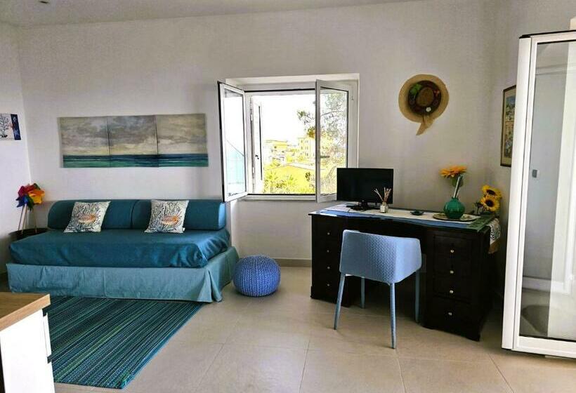 آپارتمان 1 خوابه با چشمانداز دریا, Villa Elvira Hollywood Apartment