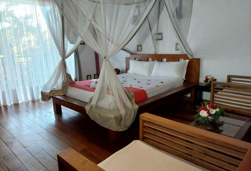 اتاق استاندارد, Island Continent