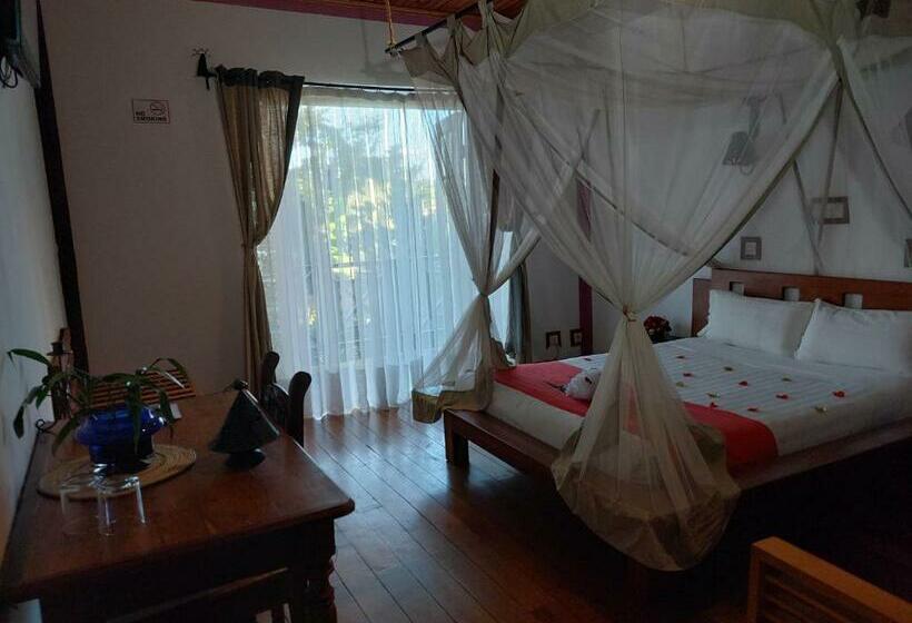 اتاق استاندارد, Island Continent