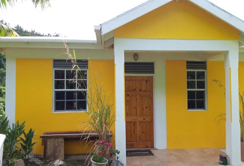 إستوديو قياسى, Mango Garden Cottages