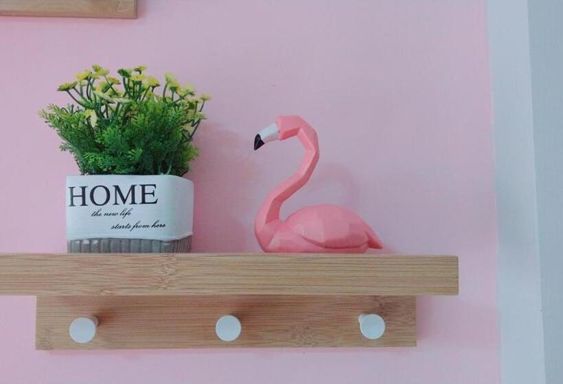 اتاق خانوادگی, Star Coffee & Homestay