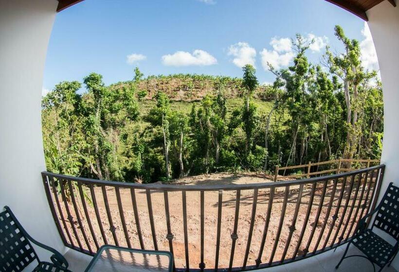 اتاق لوکس, Casa Campo Bed & Breakfast