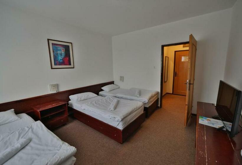 اتاق استاندارد سه نفره, Guesthouse Babin Zub