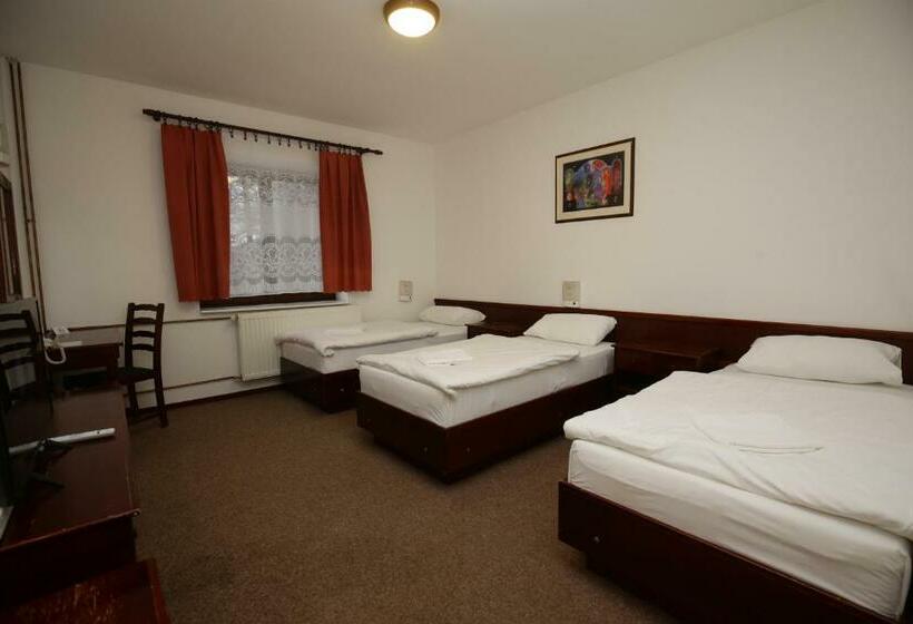 اتاق استاندارد سه نفره, Guesthouse Babin Zub