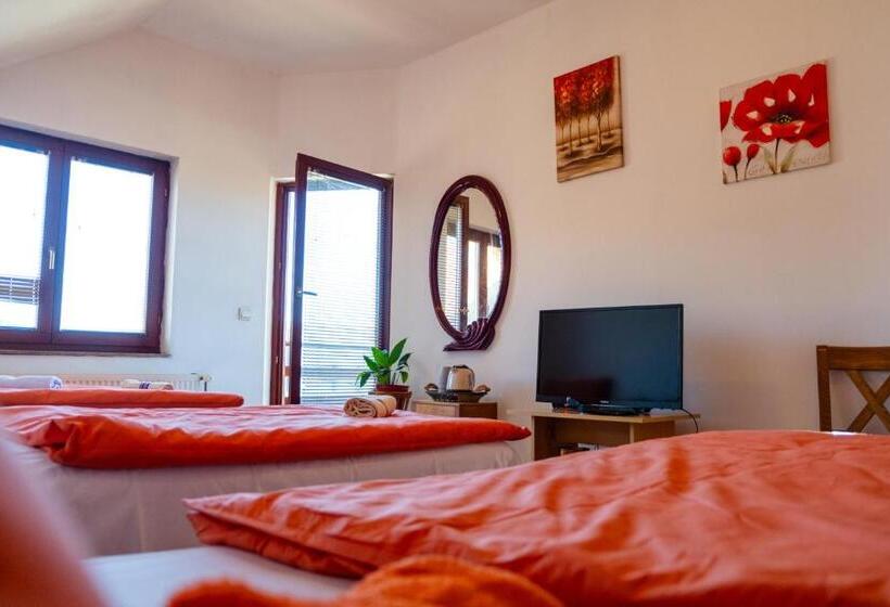 اتاق استاندارد سه نفره, Guesthouse Nevenko