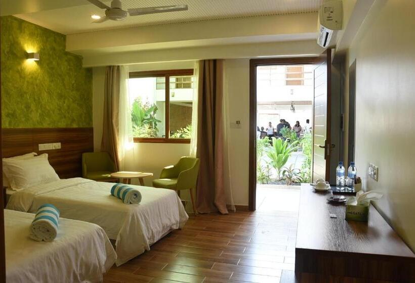 اتاق لوکس خانوادگی, Olive Goidhoo