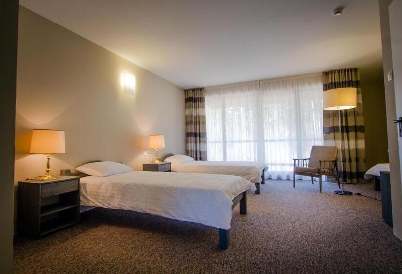 스탠다드 트리플 발코니 룸, Irbēni