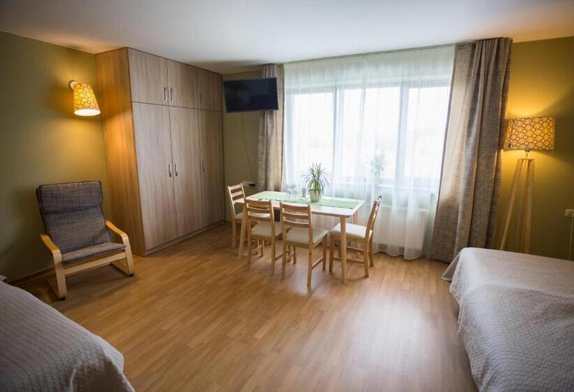 4인용 스탠다드 룸, Irbēni