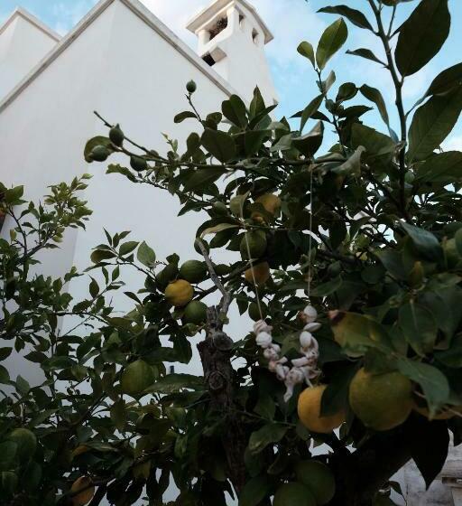 스탠다드 룸, Il Boschetto