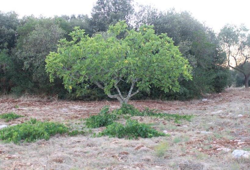 스탠다드 룸, Il Boschetto