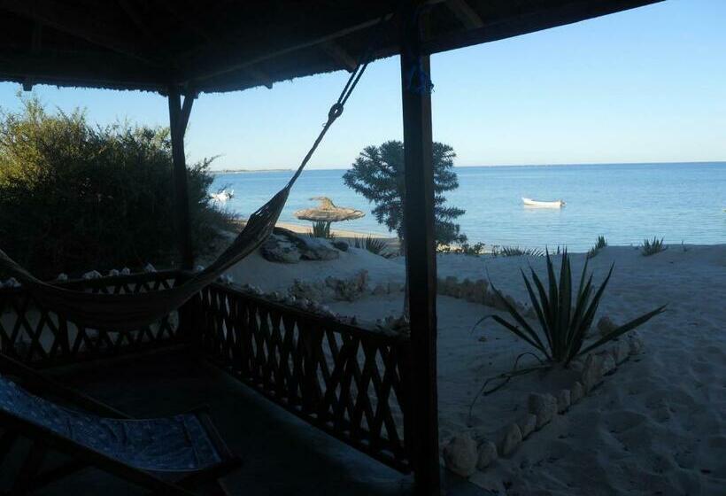 اتاق خانوادگی با چشمانداز دریا, Longo Vezo