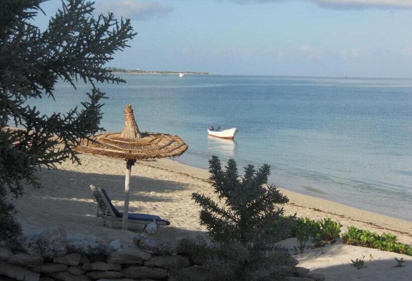 اتاق خانوادگی با چشمانداز دریا, Longo Vezo