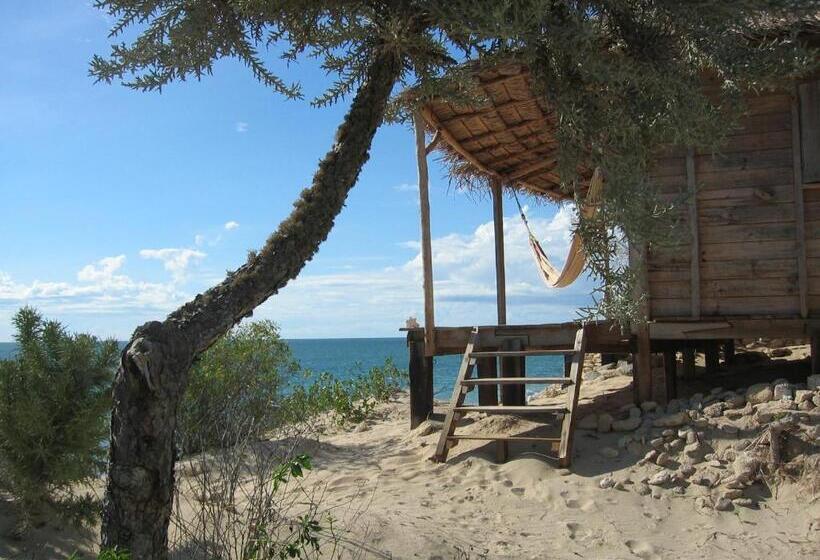 سوییت سوپریور با چشمانداز دریا, Longo Vezo